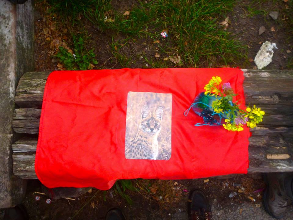 Sint-Martinus den XIIde - Weekend JVK 2013